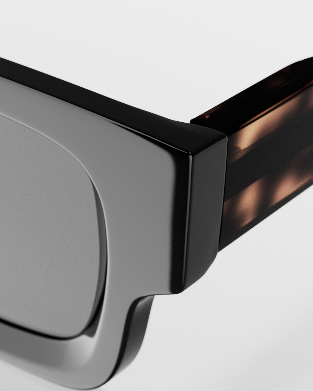 ALEX POLARIZED TORTOISE BLACK/BROWN