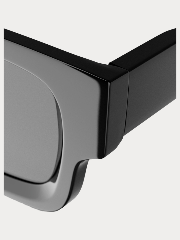 Alex Polarized Black - hinge detail