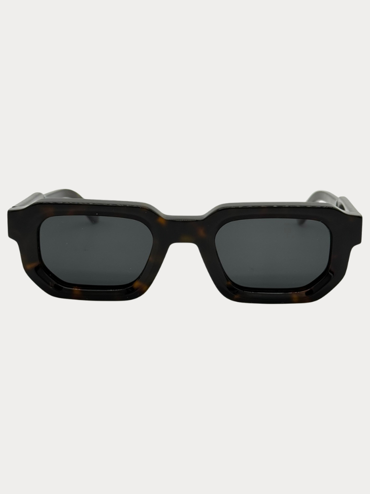Noah Polarized Tortoise