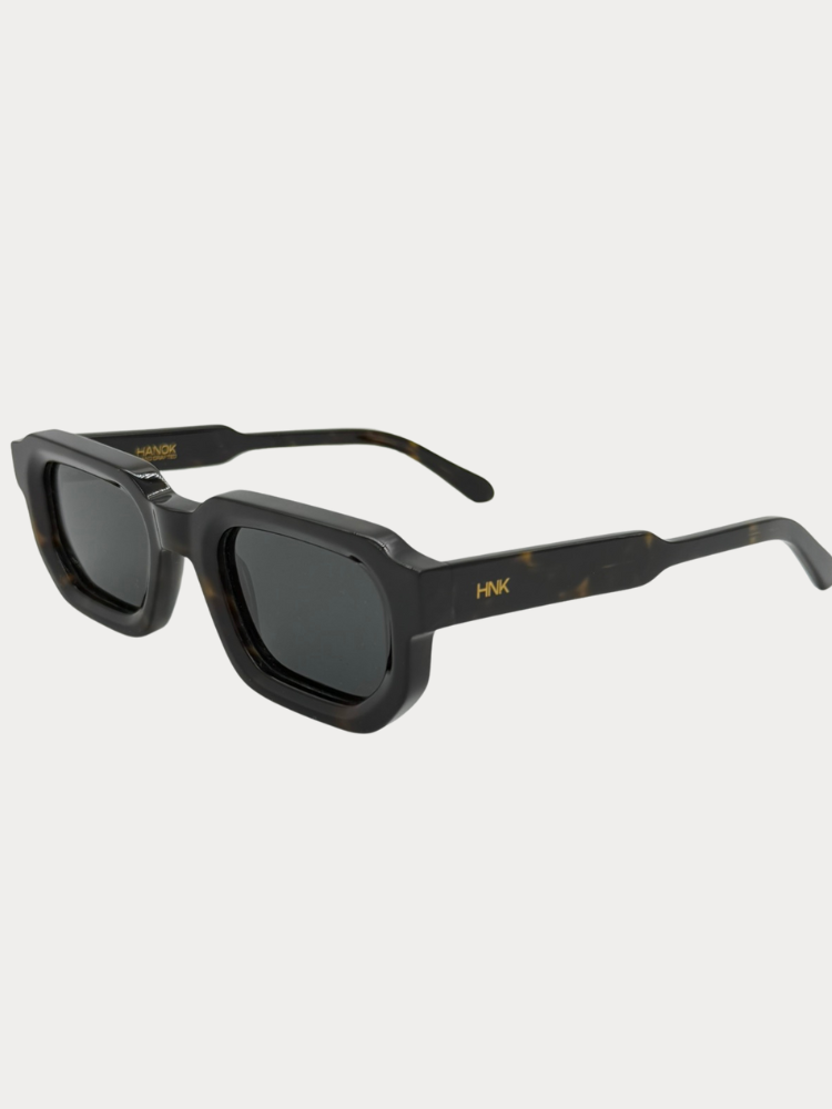 Noah Polarized Tortoise