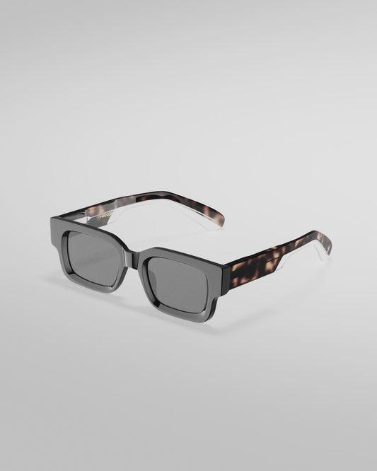 ALEX POLARIZED TORTOISE BLACK/BROWN